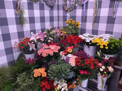 Pracownia Florystyczna SZKATUŁKA